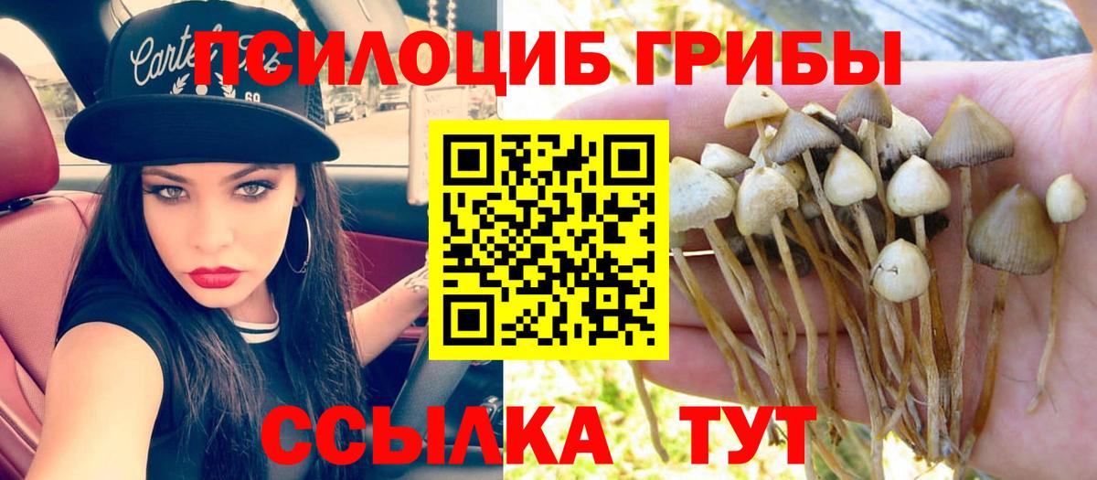 Балахна  наркошоп  Вход с VPN  Галлюциногенные грибы мицелий 