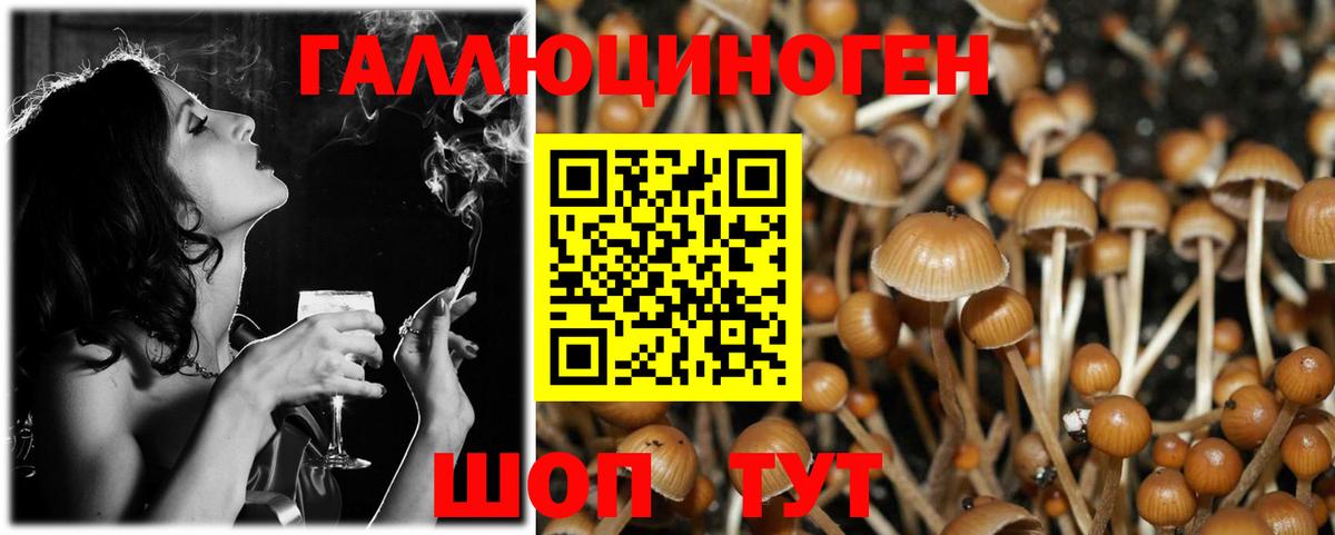 Псилоцибиновые грибы Magic Shrooms Балахна